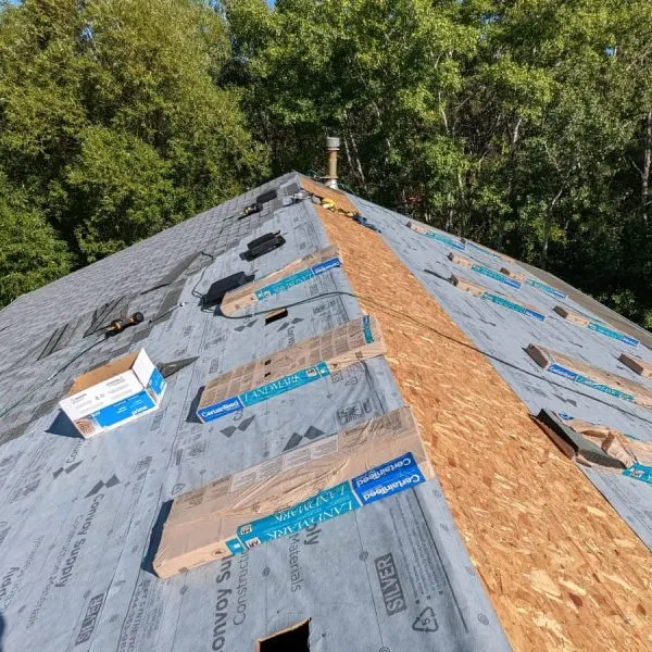 Damaged shingle repair